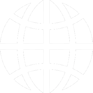 globe icon